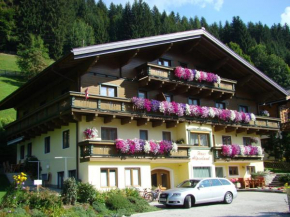 Гостиница Haus Alpenland  Ваграйн